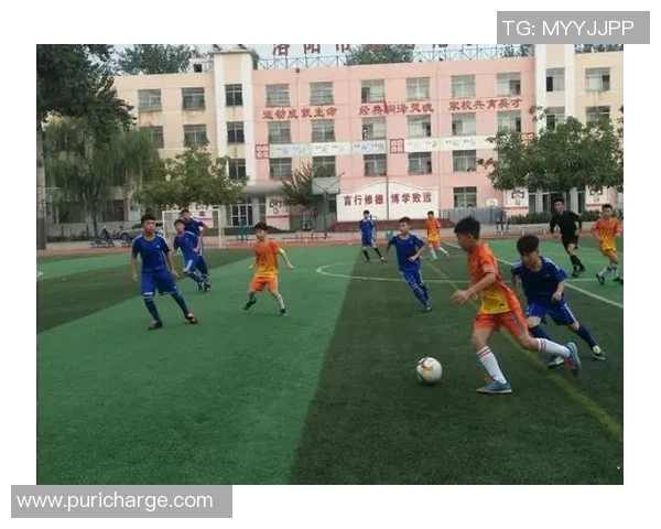 提升足球表现的秘密武器足球垫鞋垫的选择与使用指南